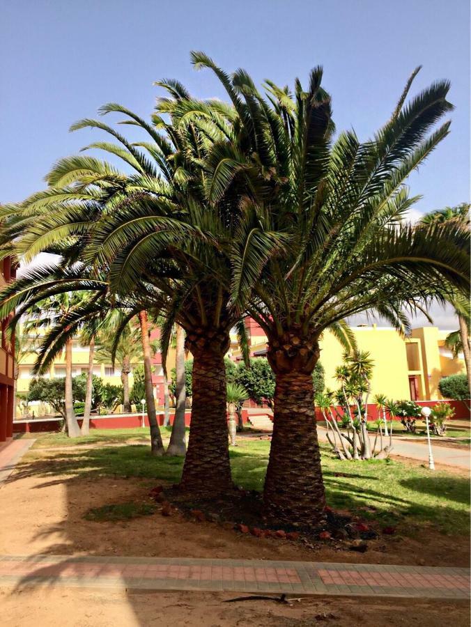 Fuerteventura - La Caleta, Parques Holandes Apartment La Oliva Ngoại thất bức ảnh